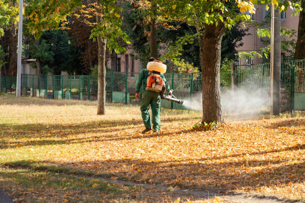 Best Mosquito Control Services  in Spirit Lake, ID