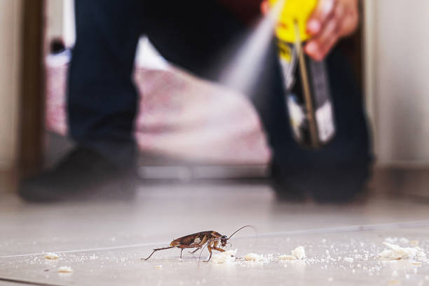 Pest Control Cost in Spirit Lake, ID